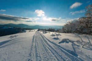 Clear the way for Your Business Success