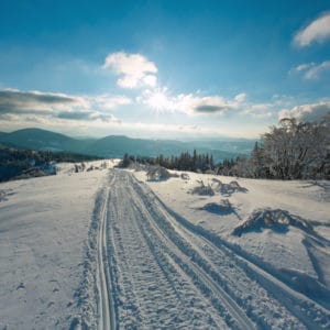 Clear the way for Your Business Success