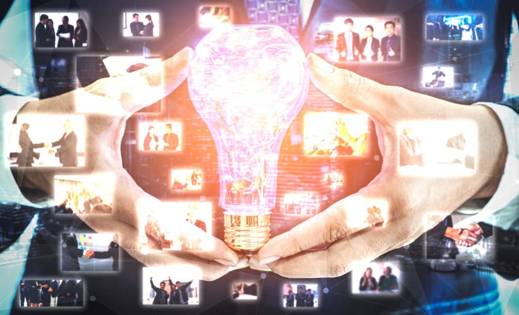 Introducing Water Bear Marketing’s PARA Program Water Bear Marketing