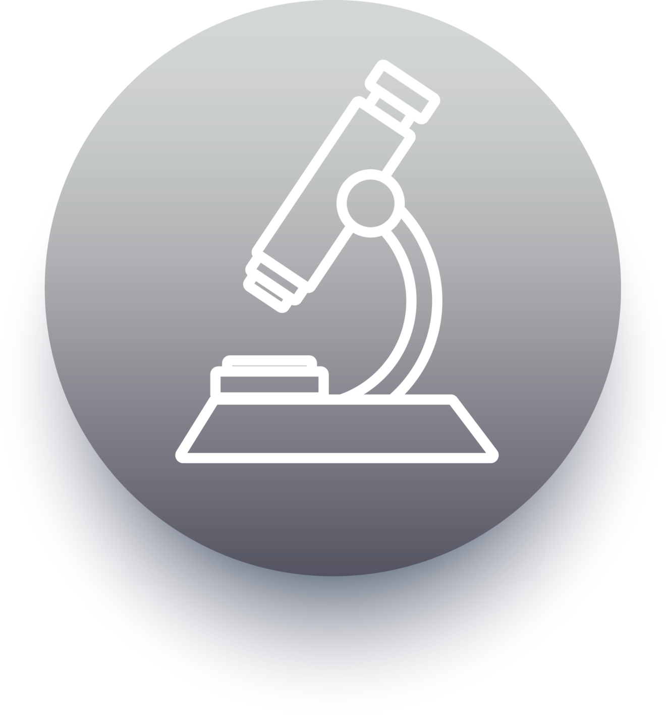 Portland Advertising Agency | Maine Marketing Solutions | Water Bear