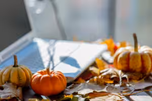 Measure Marketing Success