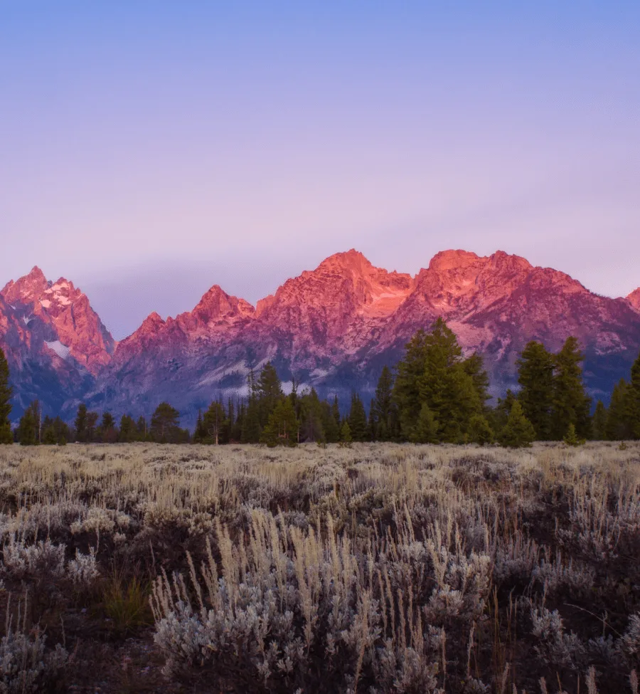 Jackson Hole Advertising Agency-min Jackson Hole Advertising Agency